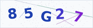 Güvenlik Doğrulama Kodu