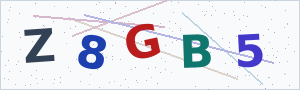 Güvenlik Doğrulama Kodu