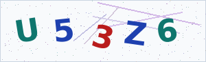 Güvenlik Doğrulama Kodu