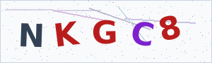 Güvenlik Doğrulama Kodu
