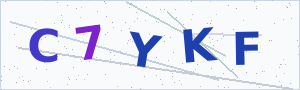 Güvenlik Doğrulama Kodu