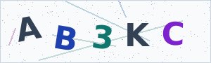 Güvenlik Doğrulama Kodu