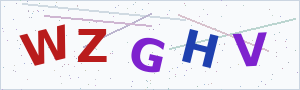 Güvenlik Doğrulama Kodu