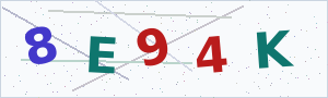 Güvenlik Doğrulama Kodu
