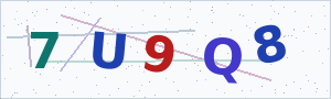 Güvenlik Doğrulama Kodu