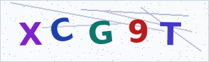 Güvenlik Doğrulama Kodu