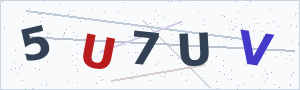 Güvenlik Doğrulama Kodu