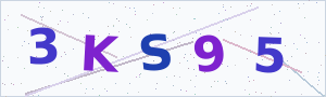 Güvenlik Doğrulama Kodu