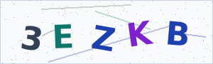 Güvenlik Doğrulama Kodu