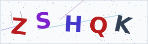 Güvenlik Doğrulama Kodu