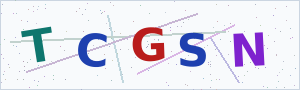 Güvenlik Doğrulama Kodu