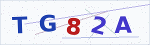 Güvenlik Doğrulama Kodu