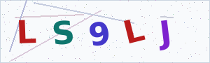 Güvenlik Doğrulama Kodu