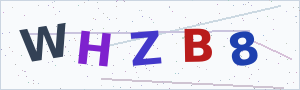 Güvenlik Doğrulama Kodu