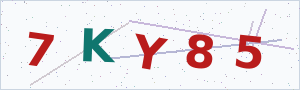 Güvenlik Doğrulama Kodu