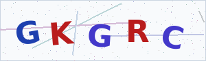 Güvenlik Doğrulama Kodu