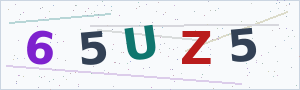 Güvenlik Doğrulama Kodu