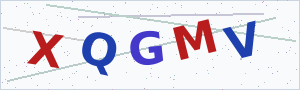 Güvenlik Doğrulama Kodu