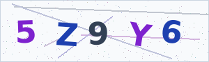 Güvenlik Doğrulama Kodu