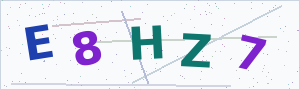Güvenlik Doğrulama Kodu