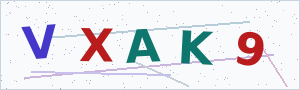 Güvenlik Doğrulama Kodu