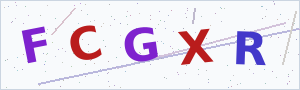 Güvenlik Doğrulama Kodu