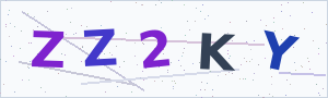 Güvenlik Doğrulama Kodu
