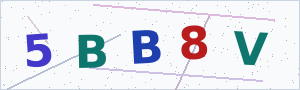 Güvenlik Doğrulama Kodu