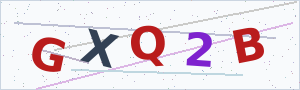 Güvenlik Doğrulama Kodu