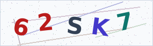 Güvenlik Doğrulama Kodu