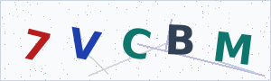 Güvenlik Doğrulama Kodu