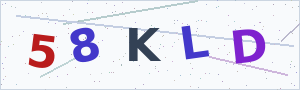 Güvenlik Doğrulama Kodu