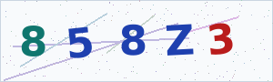 Güvenlik Doğrulama Kodu