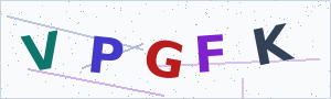 Güvenlik Doğrulama Kodu
