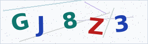 Güvenlik Doğrulama Kodu
