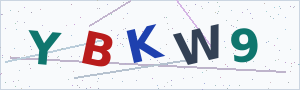 Güvenlik Doğrulama Kodu